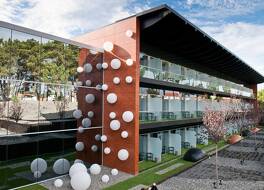 Evidencia Belverde 写真