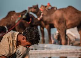 Hotel Tulsi Palace 写真