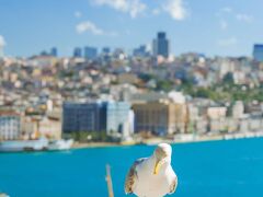 レガシー オトマン ホテル 写真