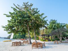 パラディーリゾート 写真