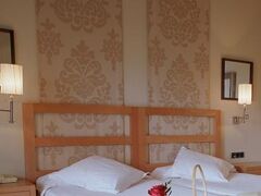 パラドール デ ヴィック-サウ 写真