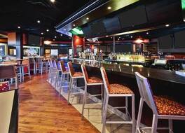 ホリデイ イン ホテル ＆ スイーツ シカゴ ノースウエスト エルジン バイ IHG 写真