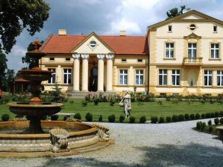 Pałac Piorunów & Spa 写真