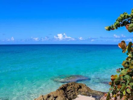 Sapphire Beach Club Resort 写真