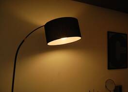 Yangyang Purple 315 写真