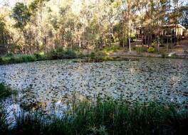 マウント コットン リトリート 写真