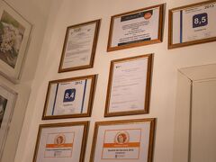 マジェンタコレクションカンチェロ 写真