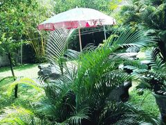 タケシ イン 写真