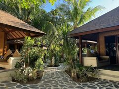 スキャリーワグスビーチクラブ 写真