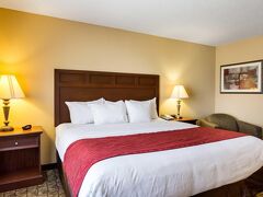 Comfort Inn & Suites 写真