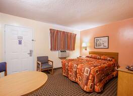 シーゲル セレクト バートレット 写真