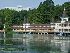 エンサナ サーマル ヘーヴィーズ 写真