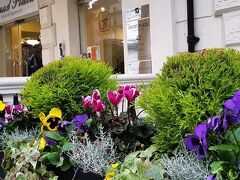 グランド プラザ サービス アパートメンツ 写真