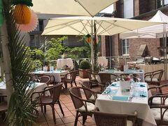 コレジウム レオニヌム 写真