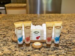 アストン アット ザ マウイ バンヤン 写真