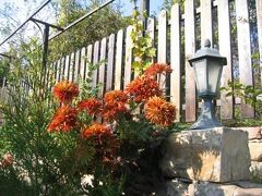 ホテル モステル 写真