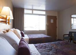 ハート オ シカゴ 写真