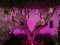 マグリズ ホテル 写真