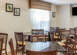 スリープ イン ノース チャールストン アシュリー フォスフェイト 写真