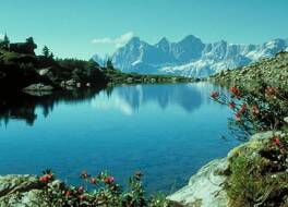 Almfrieden Hotel & Romantikchalet 写真