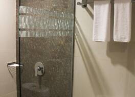 アトリウム プレミア シラカップ 写真