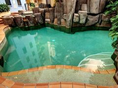 ノウティラス ムールーラバ 写真