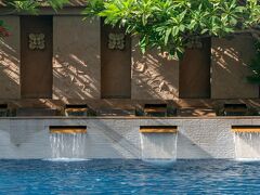 ザ スコソル 写真