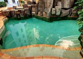 ノウティラス ムールーラバ 写真