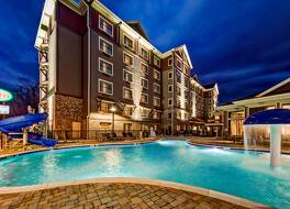 ブラック フォックス ロッジ ピジョン フォージ タペストリー コレクション バイ ヒルトン