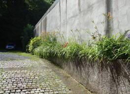 オー プチ ラングドック 写真