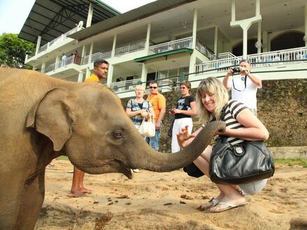 ホテル ピンナワラ 写真
