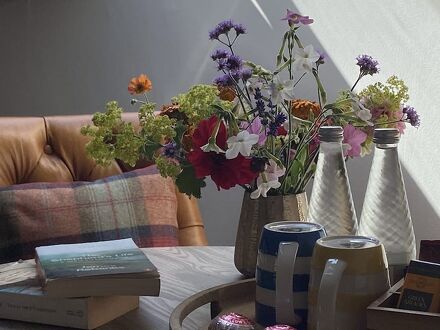 ザ カントリーマン イン 写真