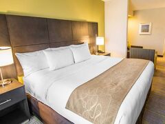 コンフォート スイーツ マイアミ エアポート ノース 写真