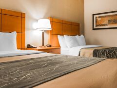 コンフォート イン メトロ エアポート 写真