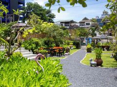 サバイ サバナ 写真