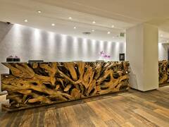 メリア パウリスタ 写真