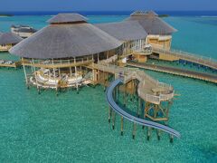 ソネバ ジャニ 写真