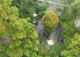 Hotel De La Promenade 写真