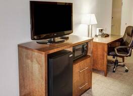 コンフォート  イン & スイーツ ノース グリーンフィールド 写真