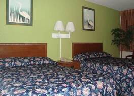 ロイヤル イン 写真