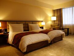 モナーク スカイライン インターナショナル ホテル 写真