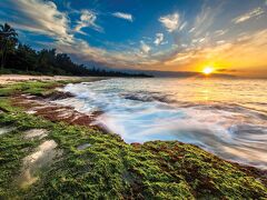 クラブ ウィンダム アット ワイキキ ビーチ ウォーク 写真