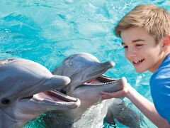 ホリデイイン エクスプレス サンディエゴ - シーワールドエリア by IHG 写真