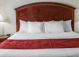 コンフォート スイーツ インディアナポリス 写真