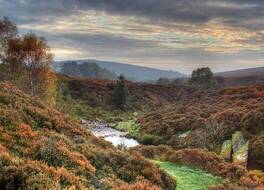 Brickfields Farm 写真