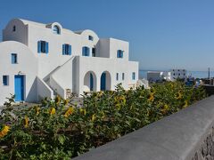 アルテミス ビレッジ 写真