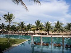 ジェットウィングブルー 写真