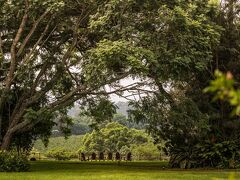 エレワナ ザ マナー ンゴロンゴロ 写真