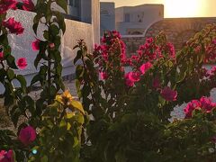 ブルー ハーモニー アパートメンツ 写真