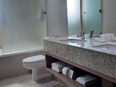 アバ プレジデンテ スイーツ サンティアゴ 写真